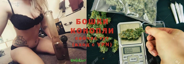 тгк Арсеньев