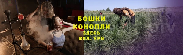 ECSTASY Армянск