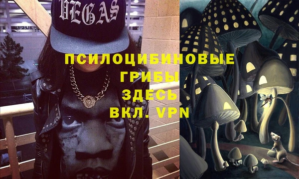тгк Арсеньев